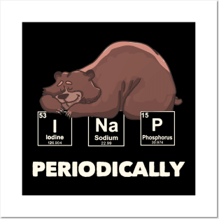 Bear I Nap Periodically Posters and Art